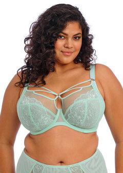 Elomi Brianna Plunge Bh Frozen