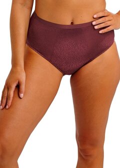 Fantasie Demure Hoge Slip Fig 